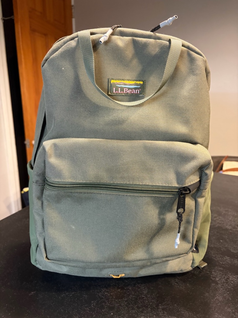 L.L. Bean Olive Green Canvas Mini Daypack Sold Out Online